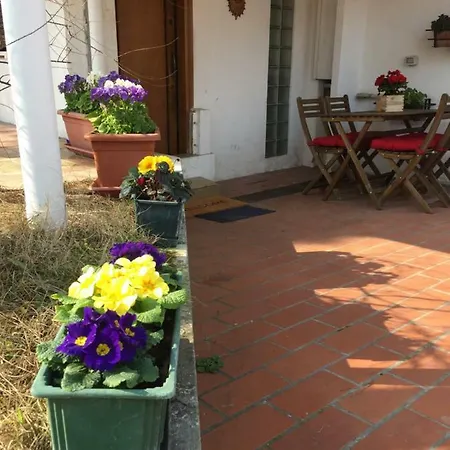 Ca' Bianca Relax Apartment